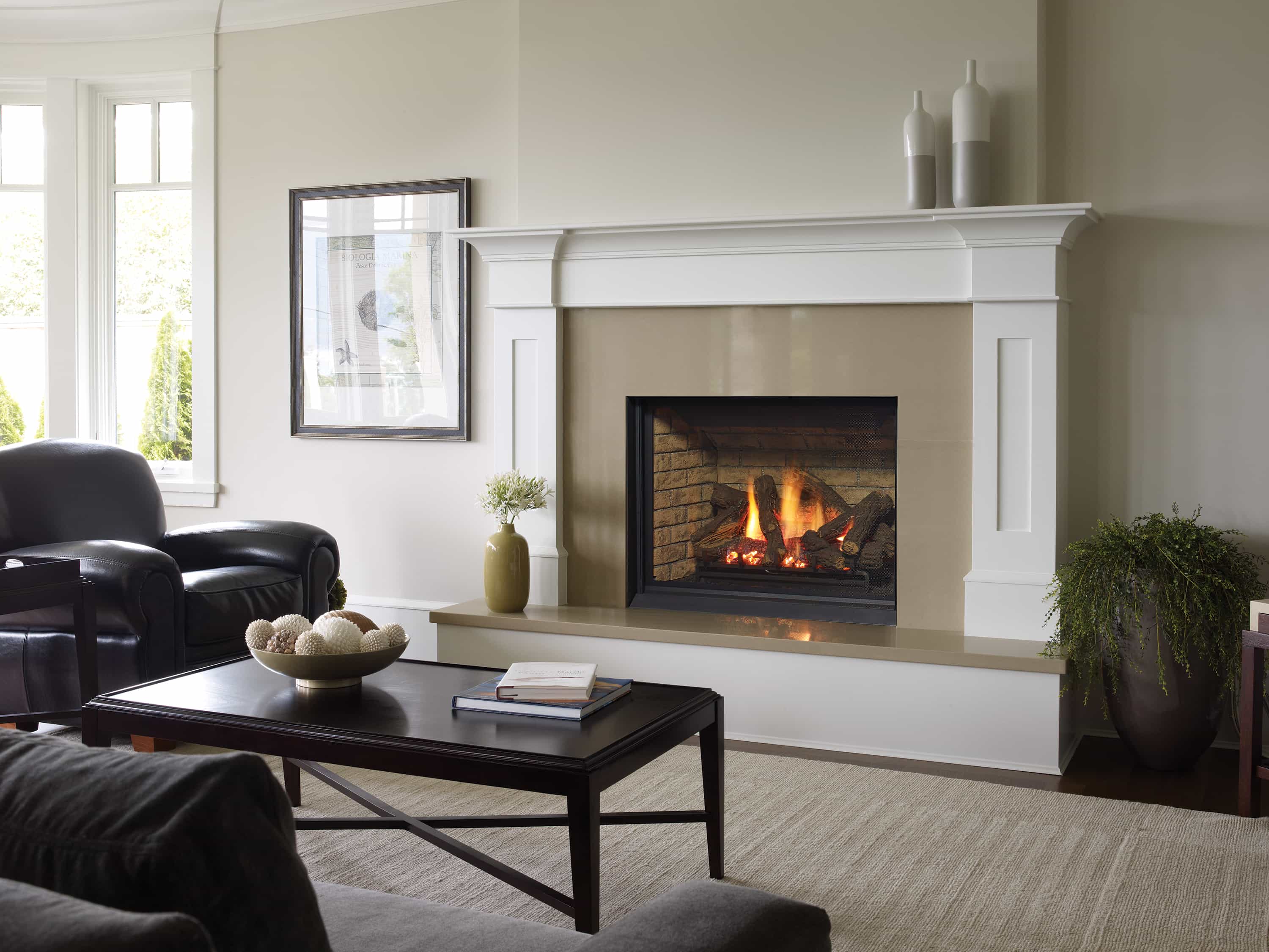 Regency Gas Fireplace Ratings