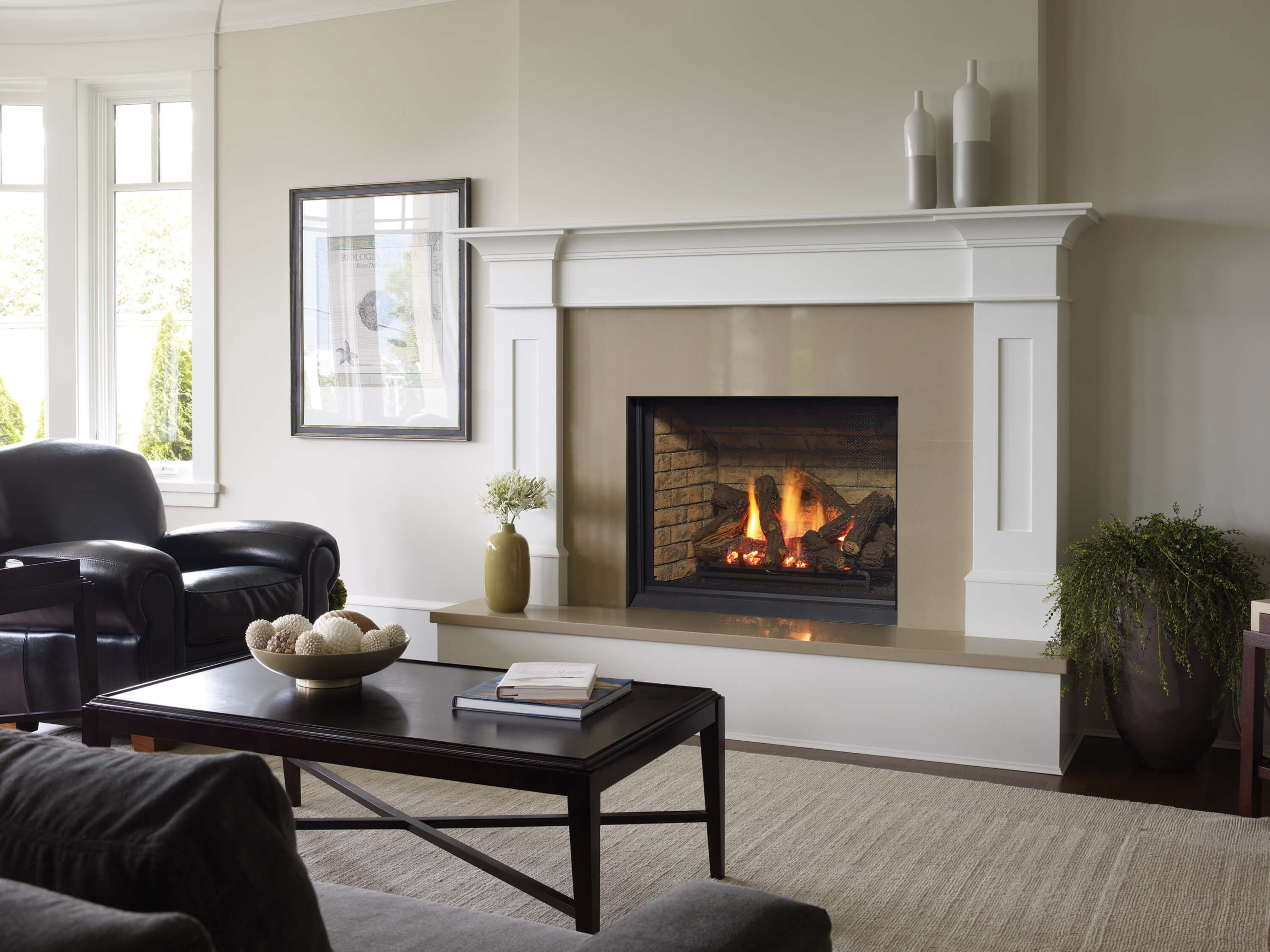 Insert vent direct fireplace rushmore gas fireplaces natural price list